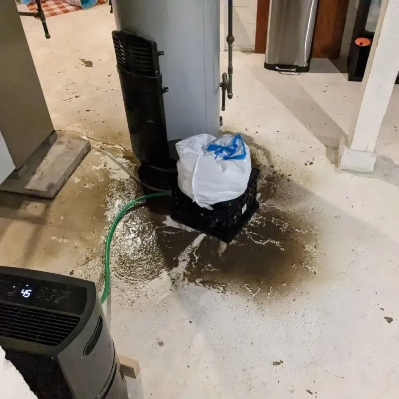 Sewage Backup Cleanup Service in Twain Harte, CA